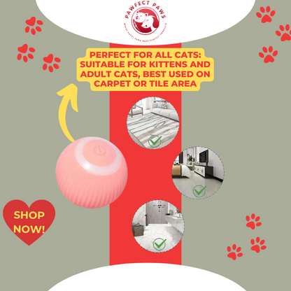 Smart Cat Rolling Ball Toys Rechargeable Cat Toys Ball Motion Ball Self-moving Kitten Toys for Indoor Interactive Playing