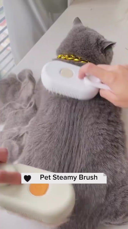 Pawfect Paws Steamy Dog & Cat Electric Spray Hair Brush 3-in-1